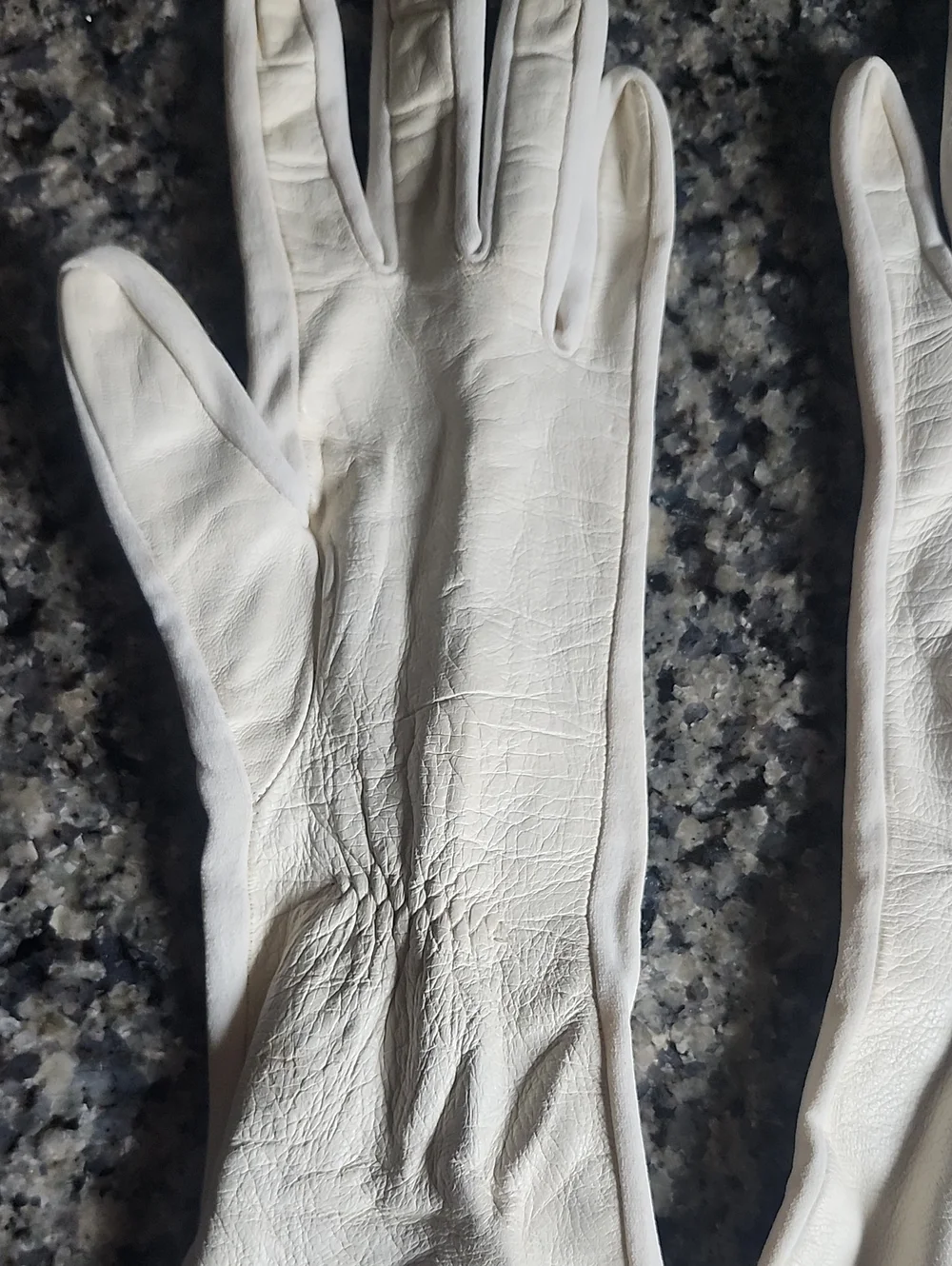 Vtg Van Raalte Ivory Leather Long Opera Gloves Size 8